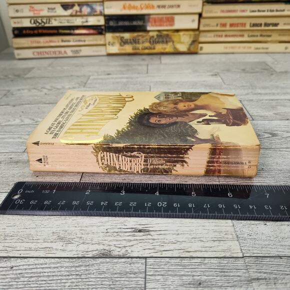 Chinaberry by William Lavender 1976 Pyramid Paperback Historical Fiction - Picture 8 of 13